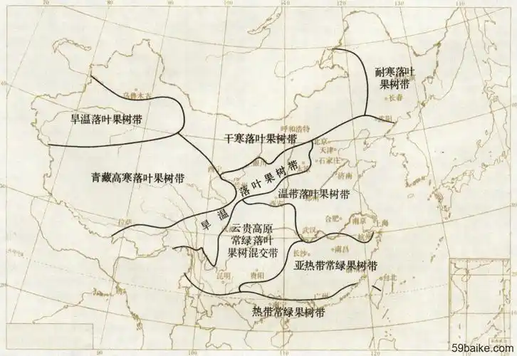 暖温带果树,亚热带果树和热带果树4类,按中国各地自然环境条件可分成8