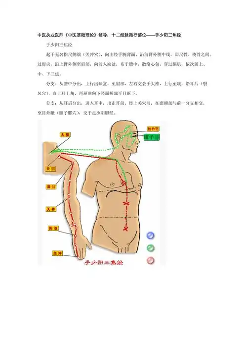 中医执业医师考试资料十二经脉循行部位手少阳三焦经