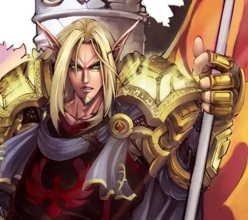 血精灵男圣骑士