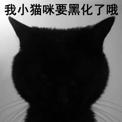 你再不理我,我小猫咪要黑化了昂!你再烦我,我小猫咪要黑化了昂