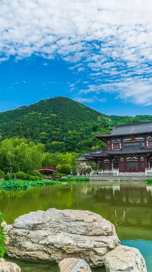 华清宫夏日消暑记丨用美图给你满屏的沁凉