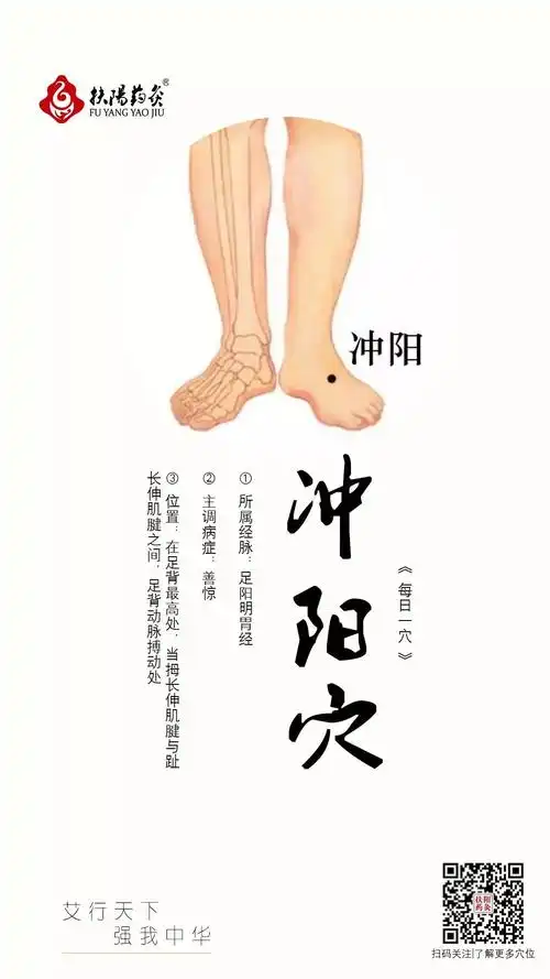 冲阳穴① 所属经脉:足阳明胃经② 主调病症:善惊③ 位置:在足背最高处