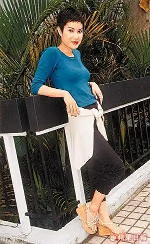 图文香港著名明星江希文写真12