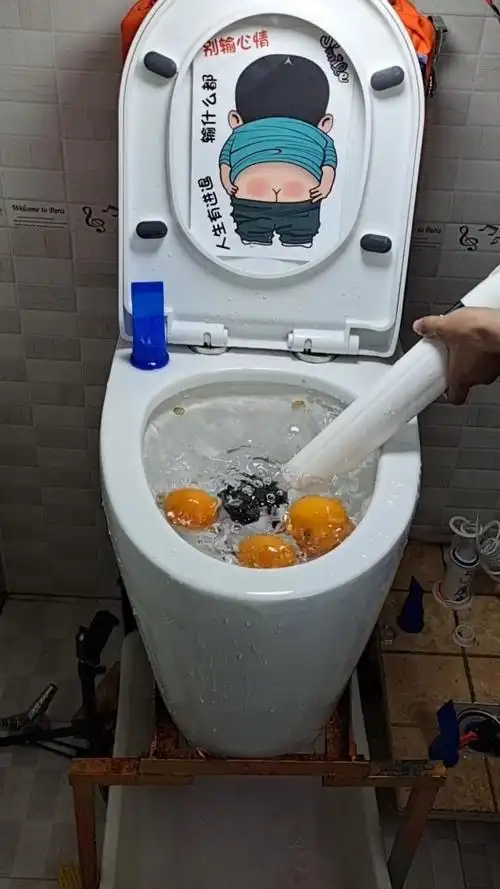 好物推荐#马桶堵了怎么办?