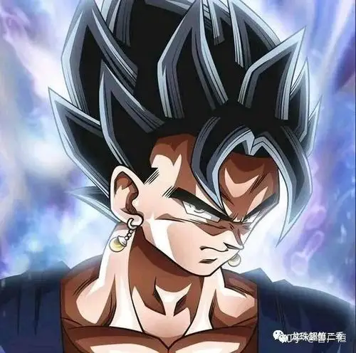 比鲁斯之所以单独出手,就是预料到悟空贝吉塔根本不可能应付12位破坏