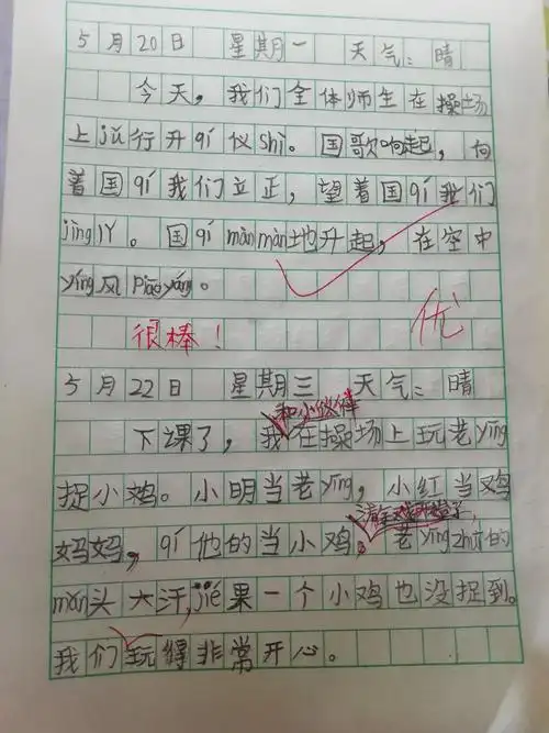 西曲学校一年级小学生日记