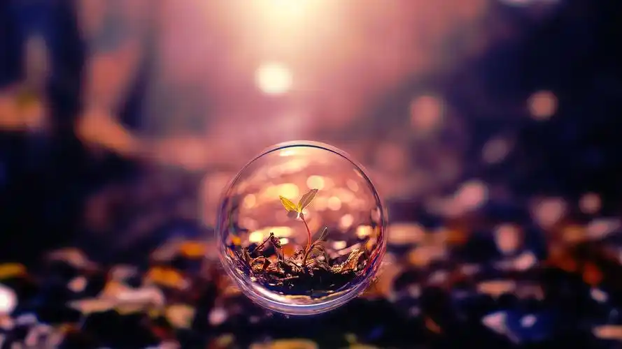 水晶球里的萌芽壁纸