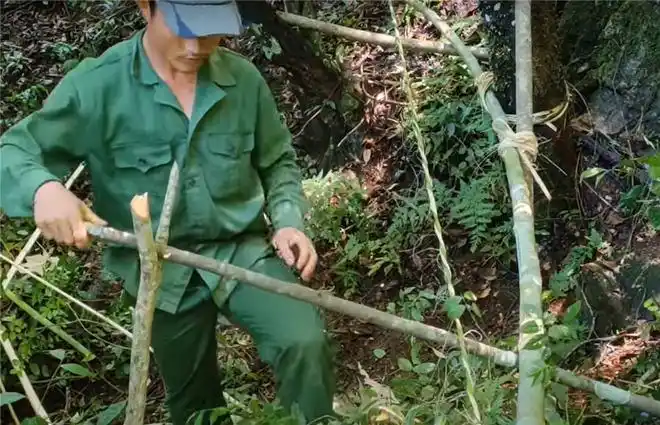 制作了3米长的弓弩,射中了一只30斤的豪猪|野生动物|野猪_网易订阅