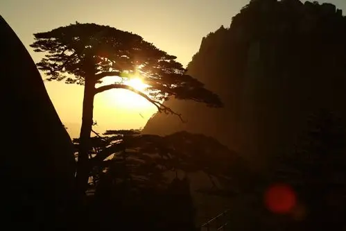 第一缕阳光洒在迎客松上 它就是这样每天精神奕奕地迎接着各方游客