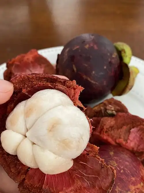 在大冬天吃胖乎乎的山竹好幸福哟孕晚期