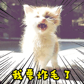 致海南羊肉涨价!陈恒贵等62人涉黑案海口开审