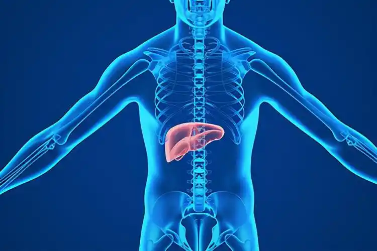 肝脏出问题牙齿先知道若牙齿出现这几种情况可能要多加防范