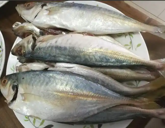 写个书面上叫什么鱼?