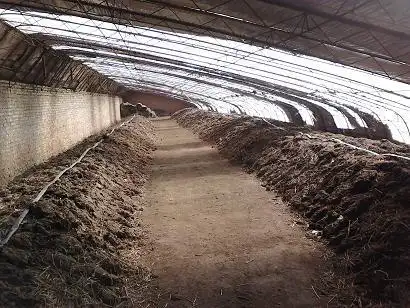 免费提供辽宁蚯蚓养殖技术