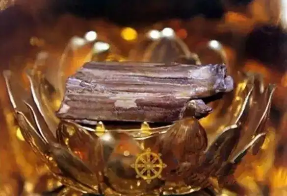 最罕见佛舍利,见者消灾得福!法布施一次,功德无量!