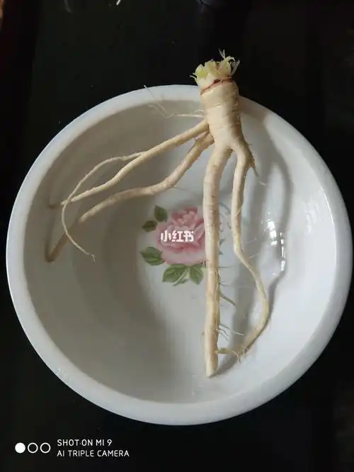 "小人参"之油菜花根_油菜花_人参_消肿_医疗健康