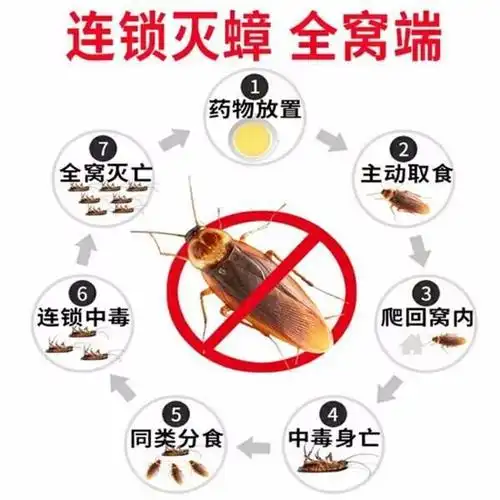 扬州灭蟑螂方法