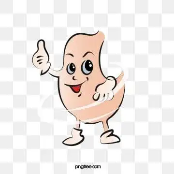 胃的卡通形象, 胃, 卡通, 疾病 png和psd图片素材