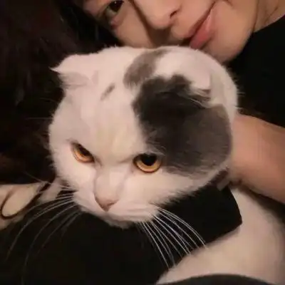 好看的女生抱猫咪头像可爱女生抱着猫咪的头像高清
