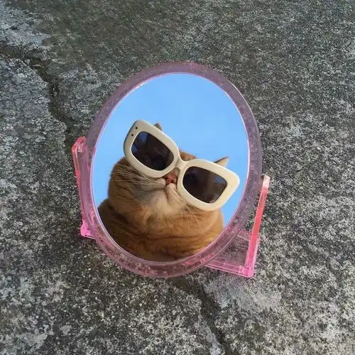 有没有像这种有意思的头像