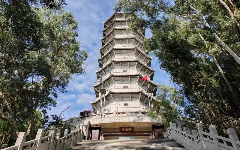 深圳园博园之旅