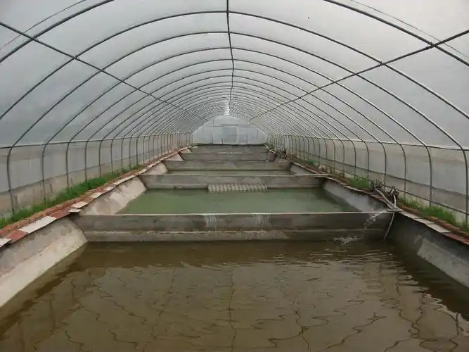 搜了网为您找到102条沙甲鱼的相关厂家信息