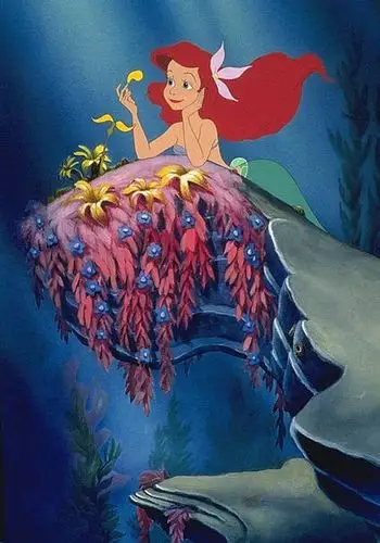 电影 动画片 小美人鱼   由约翰·马斯克打造的电影《小美人鱼》(又名