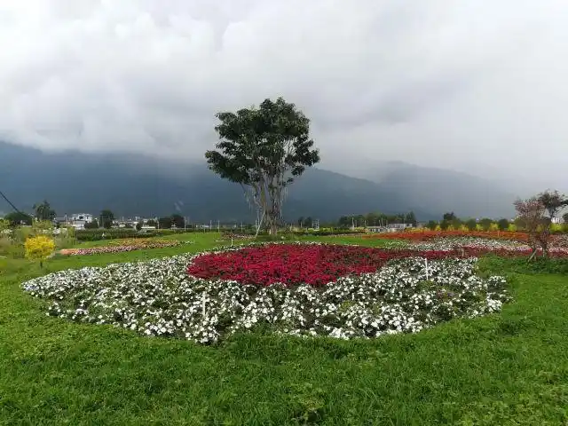 云海芳草千亩花卉博览园
