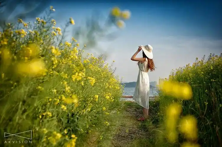 张油菜花花海的图,可以是照片也可是绘画,有个人物,女生,但只能是背影