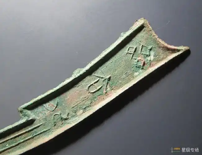 齐大刀背土宽大型