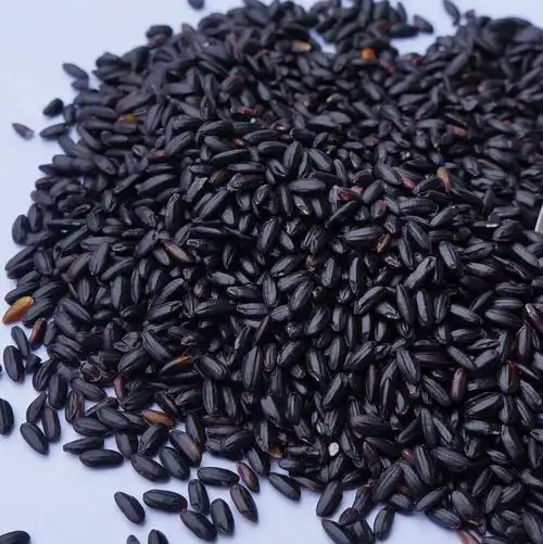 批发无公害五谷杂粮黑五谷天然黑米黑香米零添加非转基因健康养.
