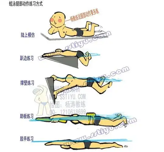 【转载】蛙泳图解(水手原创独家漫画)