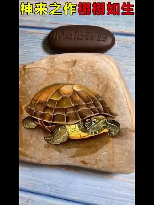 2020石头画彩铅画资料