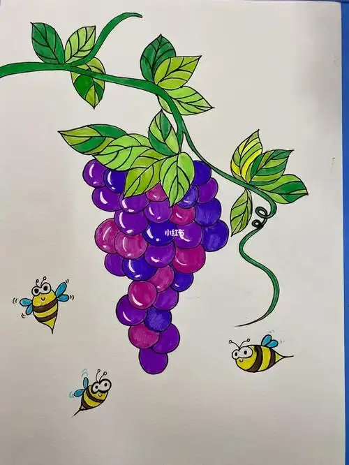 儿童画葡萄