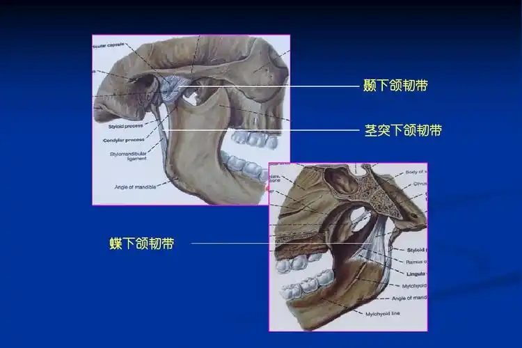最新 颞下颌关节紊乱病-口腔颌面外科学 课件ppt