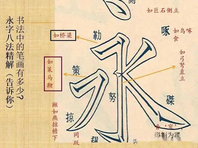 楷书八个基本笔画运笔步骤书法课件ppt155页,讲座搞起来