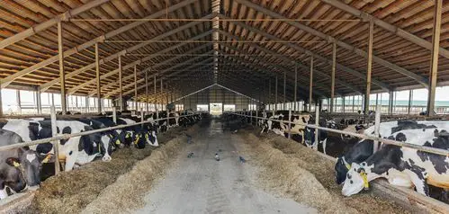 需要什么设备?_牛舍