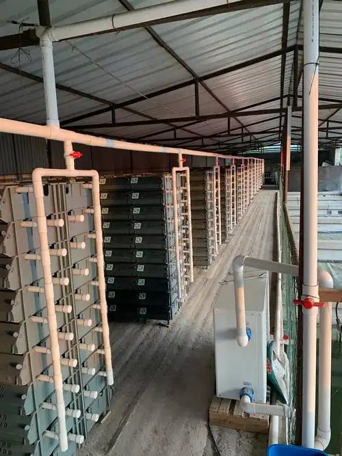 野生小龙虾养殖润昌源3