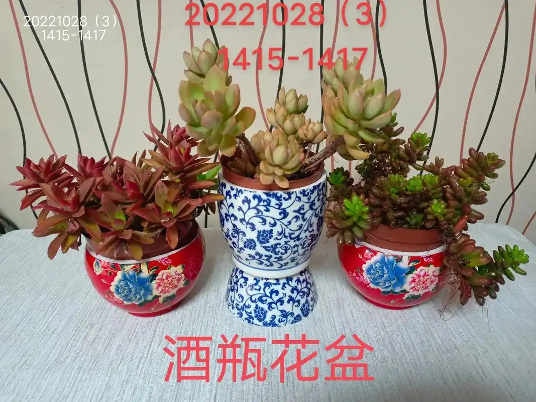 人,要知进退,懂取舍.#酒瓶花盆 #非物质文化遗产手工制作  - 抖音
