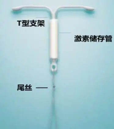 此外,在曼月乐环的设计方面,其大小约为32mm,十分小巧,上环方便,由