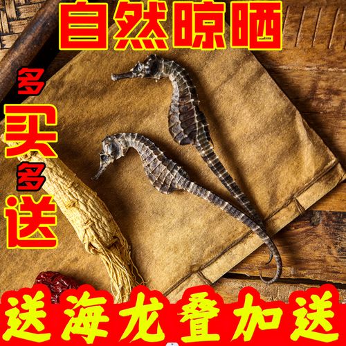 海马干货一对 精选泡酒煲汤料中药材滋补养生海马泡酒料补钙助高