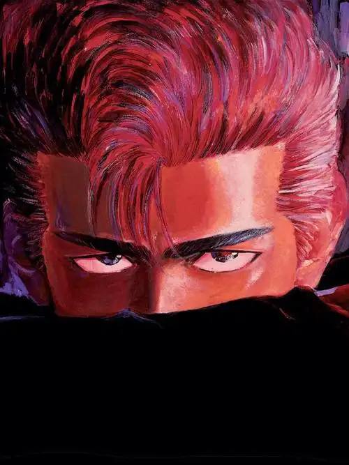 灌篮高手  #樱木花道  #流川枫  #赤木刚宪  #三井寿  #宫城良田