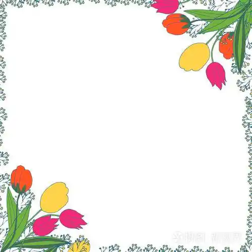 矢量花卉手绘制的框架春天的郁金香