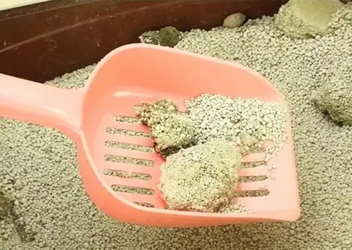 猫砂铲 猫铲猫厕所铲猫屎铲子大号 猫咪清洁用品 猫粮铲 宠物用品