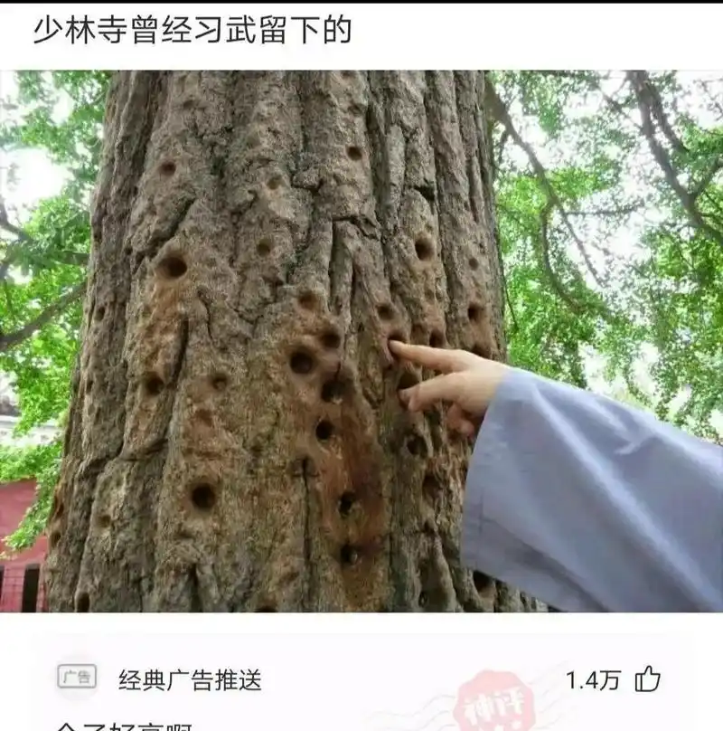 少林寺金刚指留下的痕迹