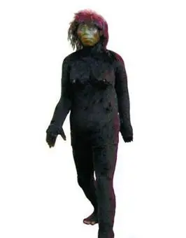 我制作的【闪图和视频】