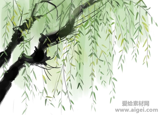 水彩杨柳垂柳绘画psd图片素材
