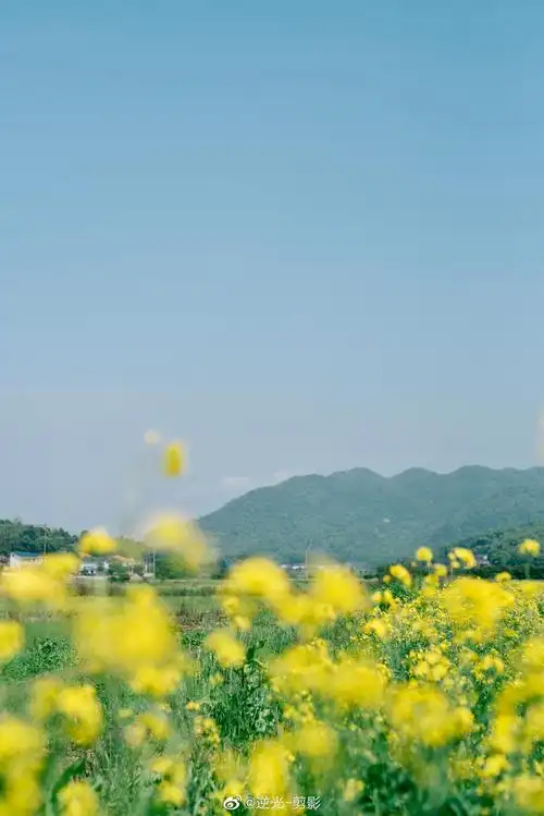 我镜头下的春天是这样的,湖南三四月晴好的天气很难得了