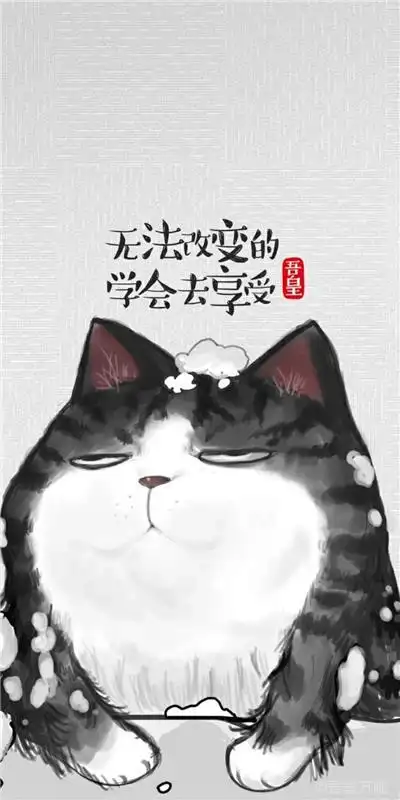 萌萌的油墨猫咪励志文字配图非主流手机壁纸