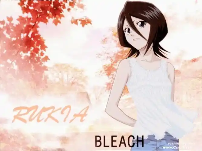 求死神壁纸 露琪亚 樱花